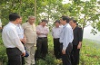 Công ty TNHH một thành viên Cao su Mang Yang: 30 năm một chặng đường…
